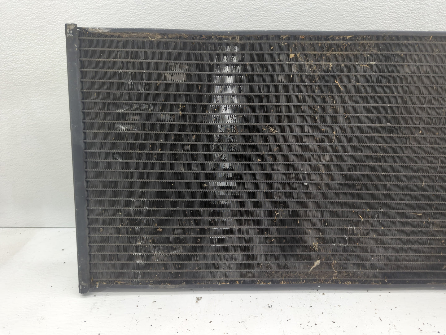 1996-2005 Chevrolet Blazer Undefined Rust - Oemusedautoparts1.com