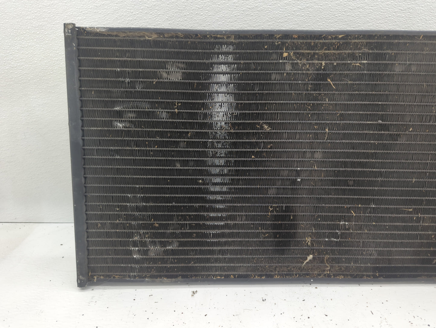 1996-2005 Chevrolet Blazer Undefined Rust - Oemusedautoparts1.com