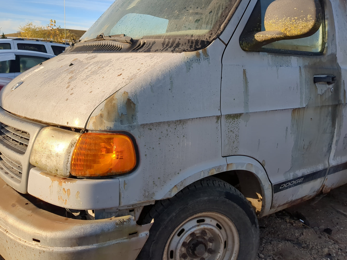2003 Dodge Ram Van 2500 Driver Fender - Oemusedautoparts1.com
