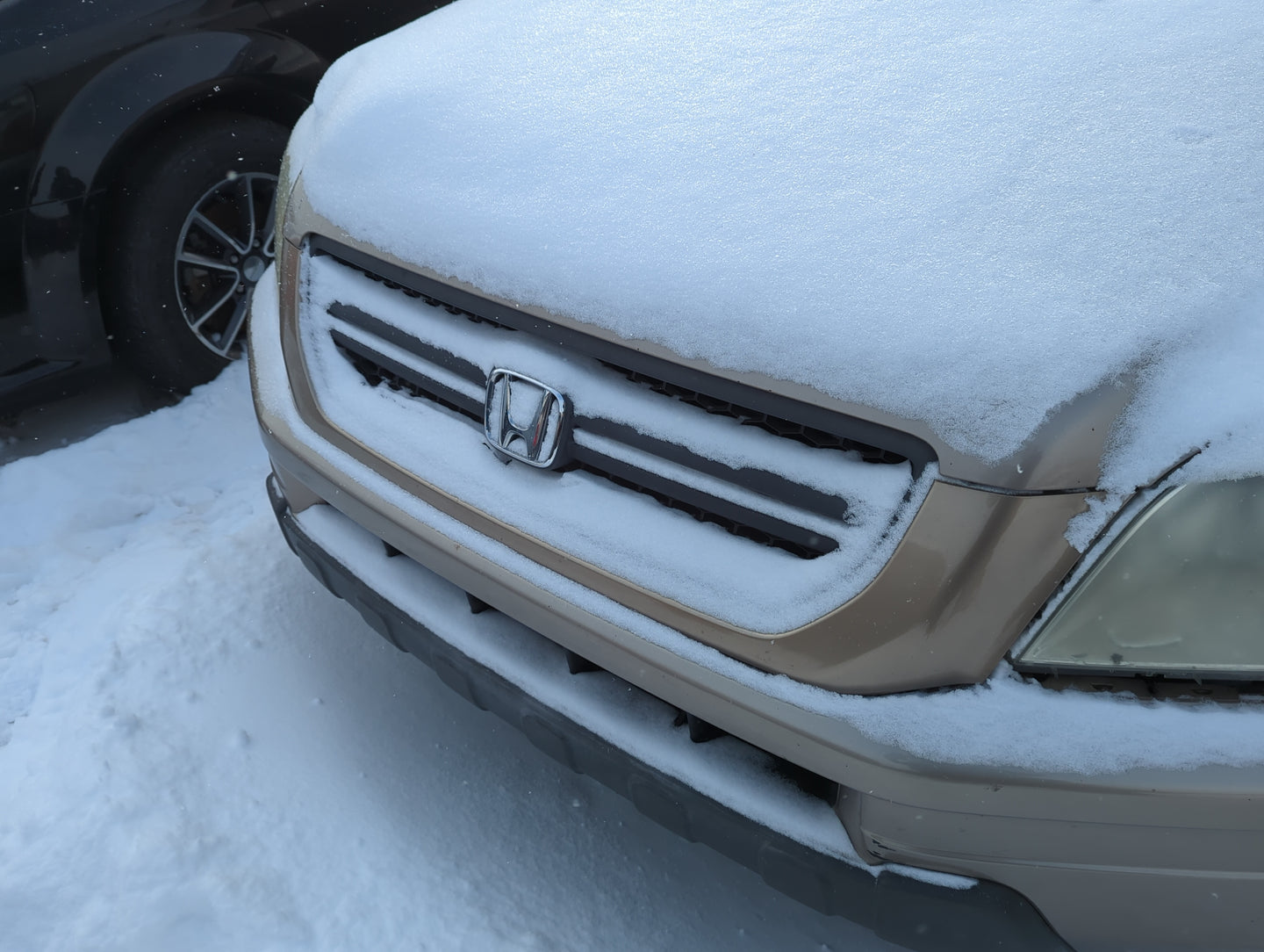 2003-2005 Honda Pilot Front Grille Bumper Not Included - Oemusedautoparts1.com