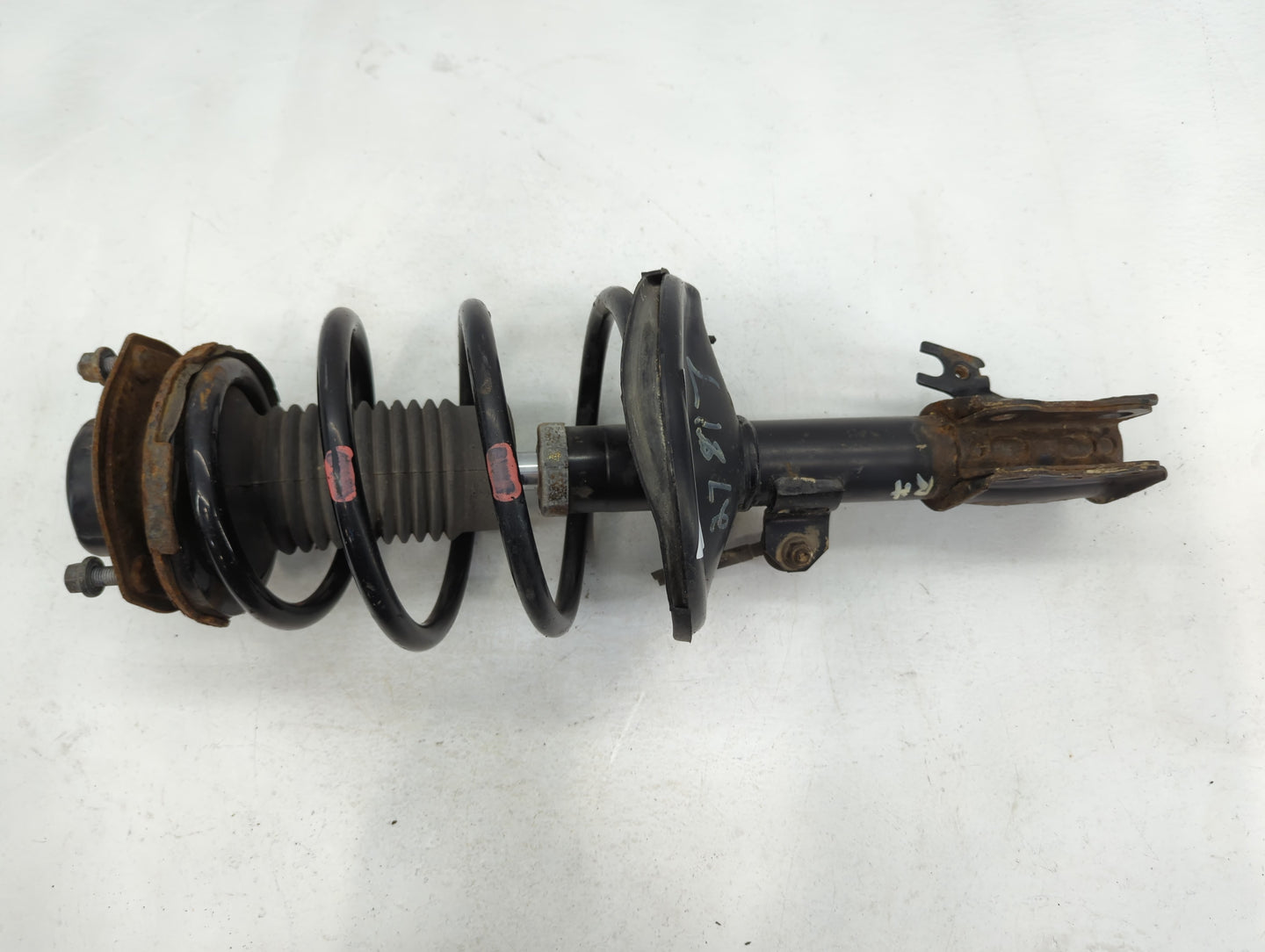 1999-2003 Toyota Solara Passenger Rear Strut Assembly Oem - Oemusedautoparts1.com