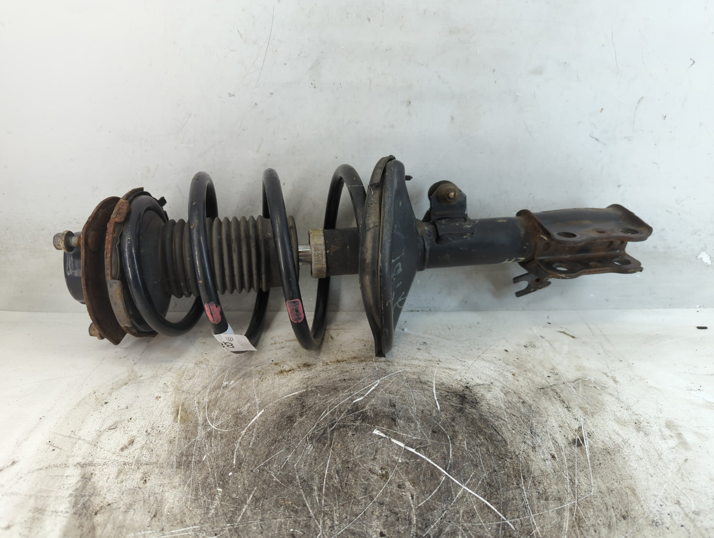 1999-2003 Toyota Solara Drivers Rear Strut Assembly Oem - Oemusedautoparts1.com