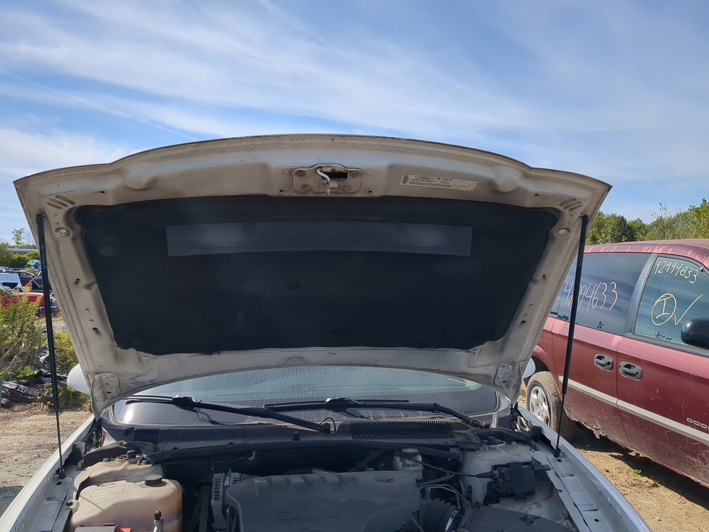 2000-2005 Buick Lesabre Hood Oem - Oemusedautoparts1.com