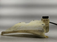 Chevrolet S10 Blazer Radiator Coolant Overflow Expansion Tank Bottle - Oemusedautoparts1.com