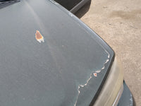 2002-2009 Chevrolet Trailblazer Hood Oem 1190119 - Oemusedautoparts1.com