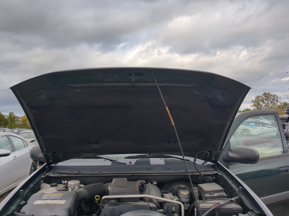 2002-2009 Chevrolet Trailblazer Hood Oem 1190119 - Oemusedautoparts1.com