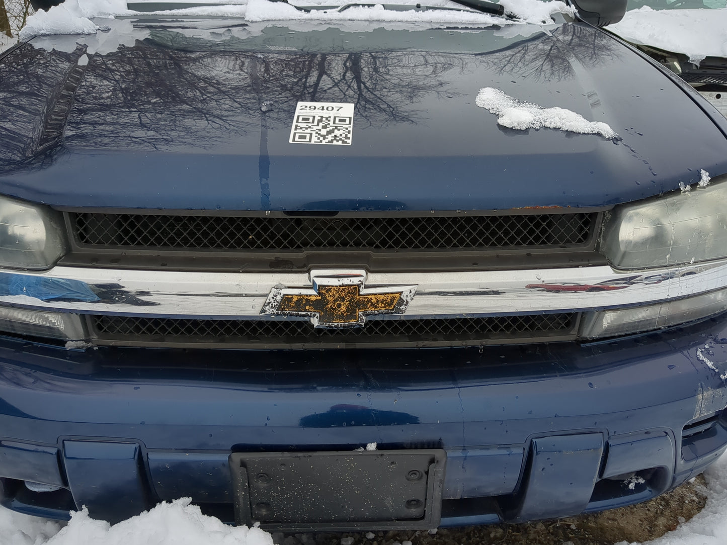 2002-2009 Chevrolet Trailblazer Front Grille Bumper Not Included - Oemusedautoparts1.com