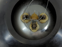 Ford F-350 Passenger Right Oem Head Light Headlight Lamp - Oemusedautoparts1.com