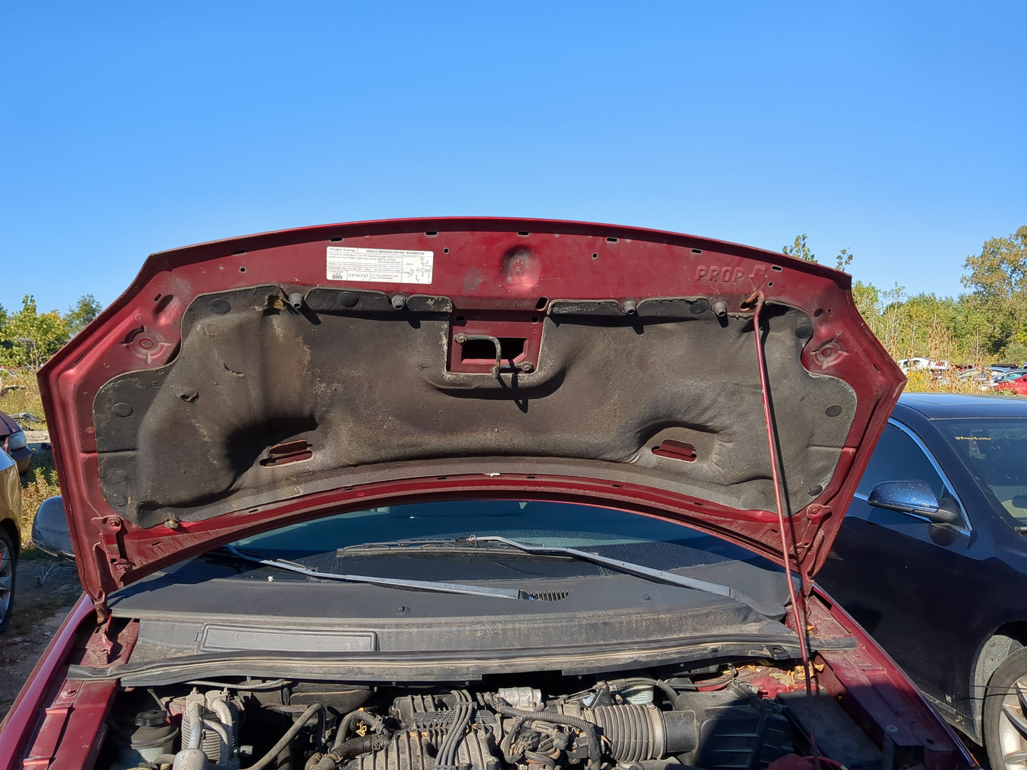 2004-2007 Ford Freestar Hood Oem - Oemusedautoparts1.com