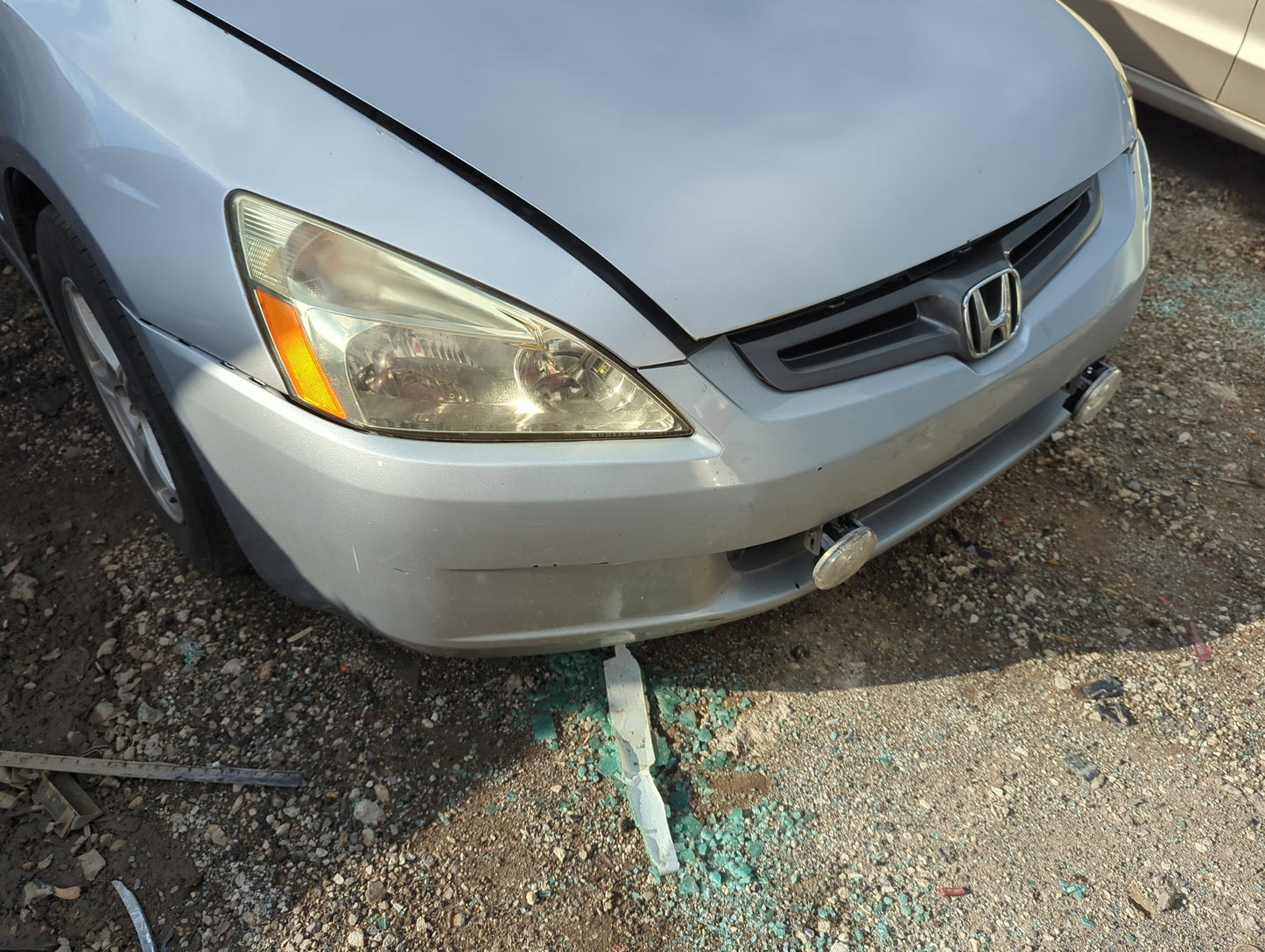 2003-2005 Honda Accord Front Bumper - Oem - Oemusedautoparts1.com