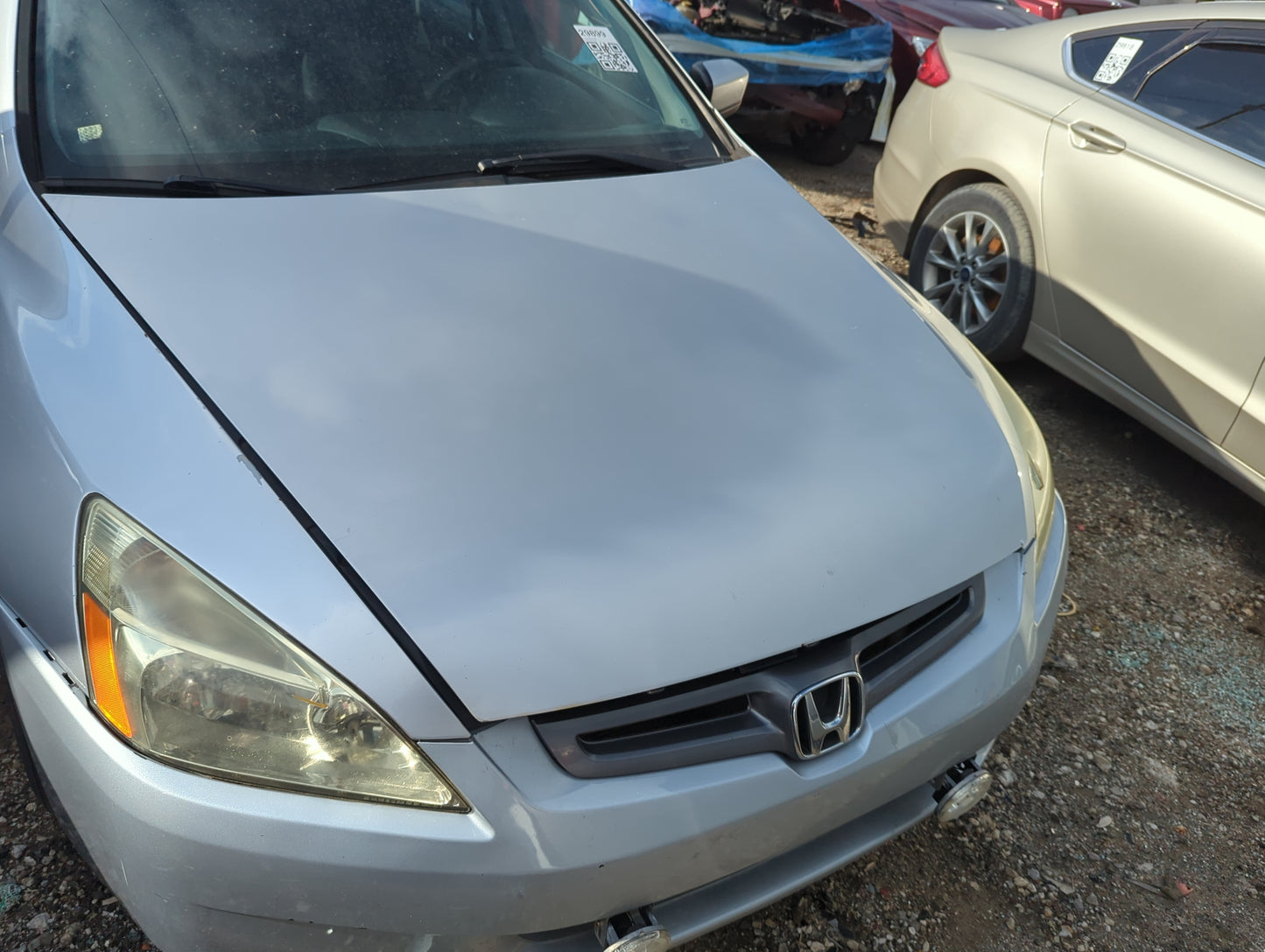 2003-2007 Honda Accord Hood Oem 5003058 - Oemusedautoparts1.com