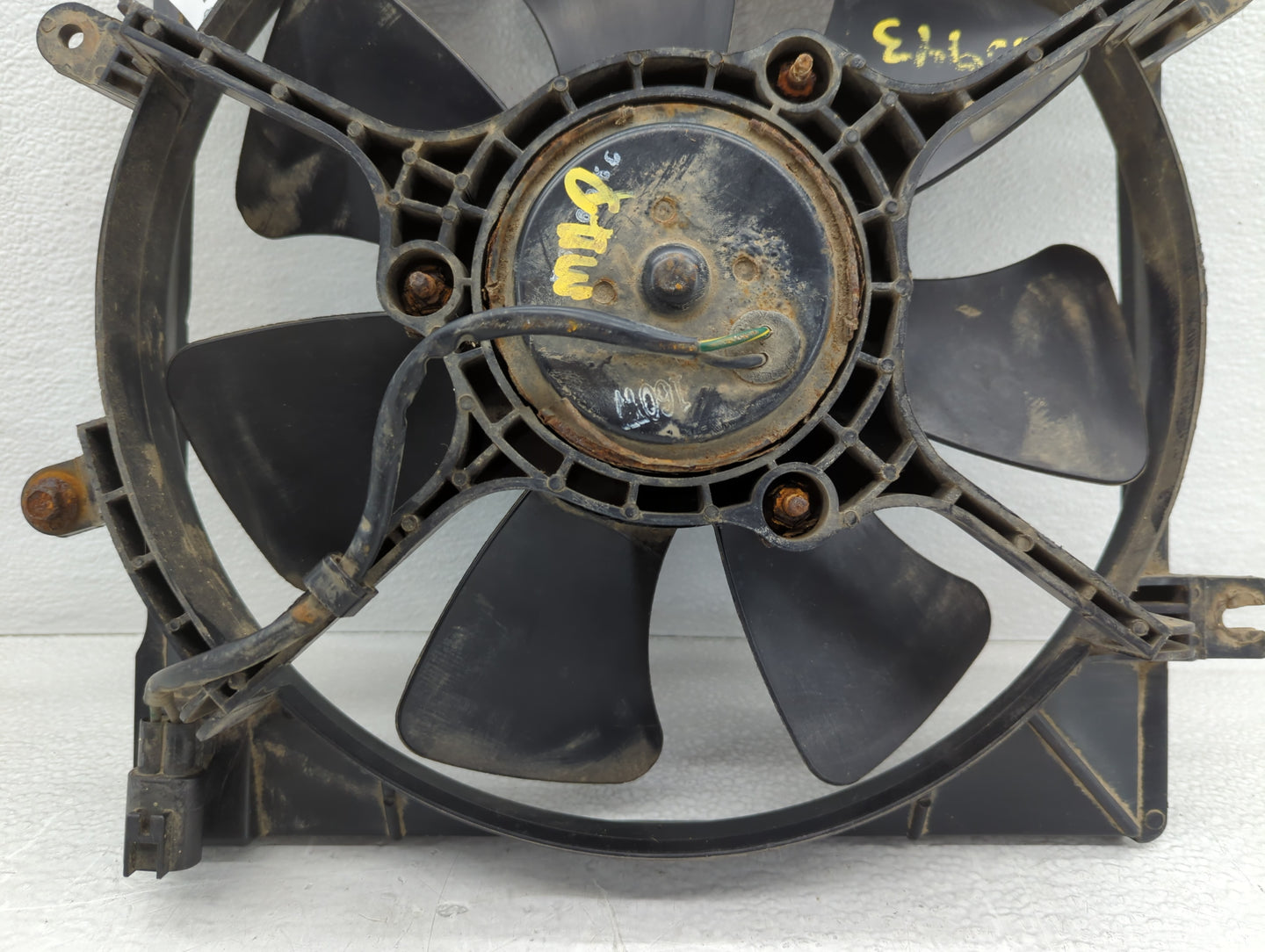 2004 Kia Kiaspe Undefined - Oemusedautoparts1.com
