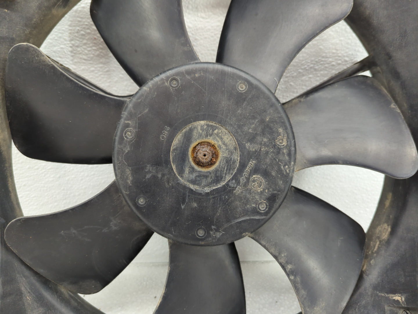 2004 Kia Kiaspe Undefined - Oemusedautoparts1.com