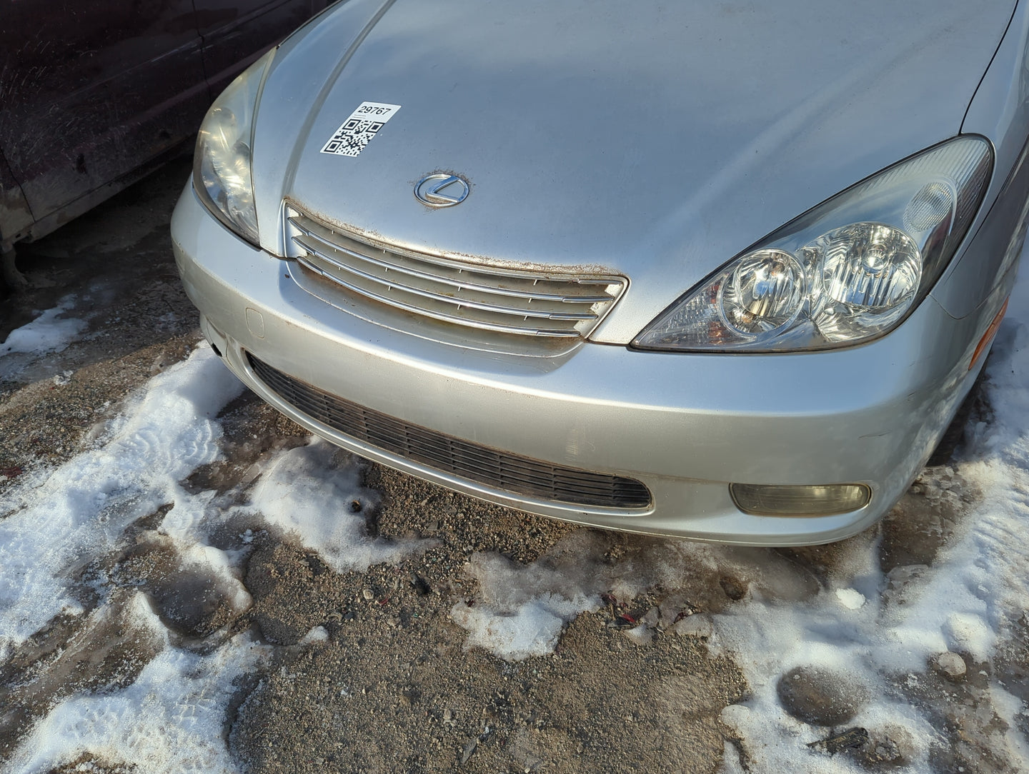 2004-2004 Lexus Es330 Front Grille Bumper Not Included - Oemusedautoparts1.com