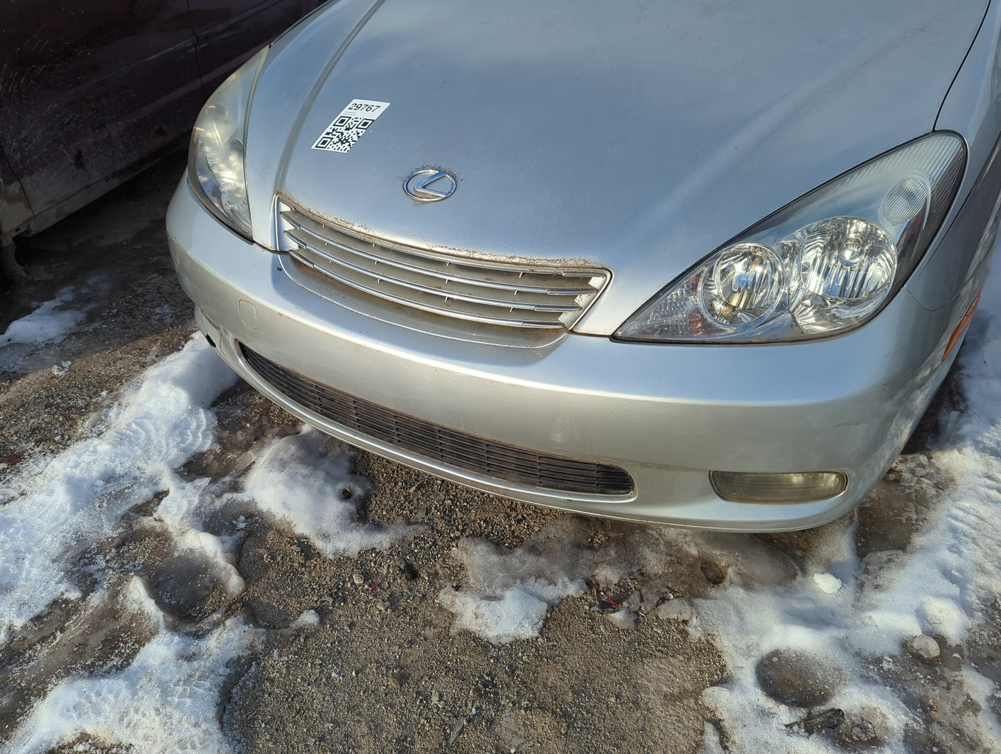 2004-2004 Lexus Es330 Front Grille Bumper Not Included - Oemusedautoparts1.com