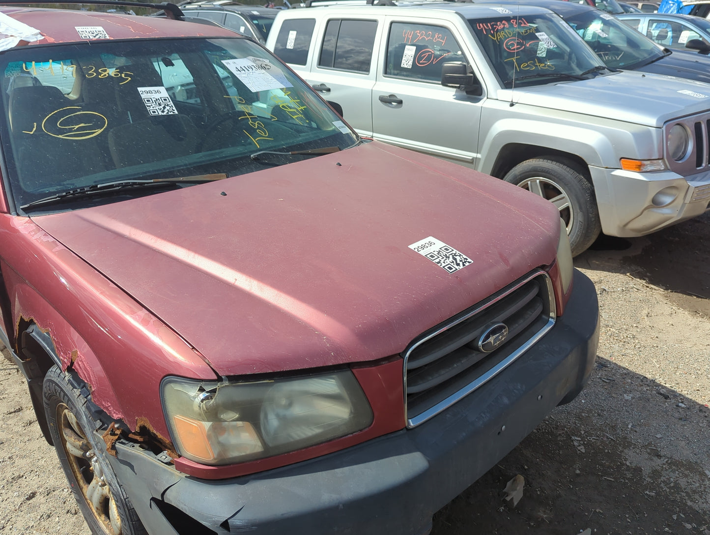 2003-2005 Subaru Forester Hood Oem - Oemusedautoparts1.com