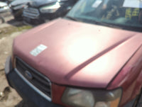 2003-2005 Subaru Forester Hood Oem - Oemusedautoparts1.com