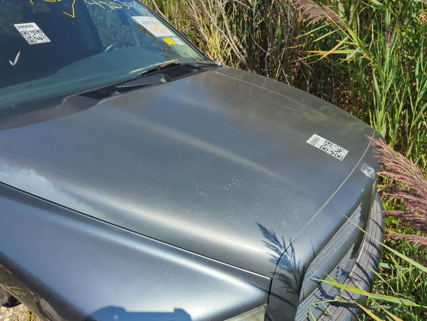 2002-2008 Dodge Ram 1500 Hood Oem - Oemusedautoparts1.com