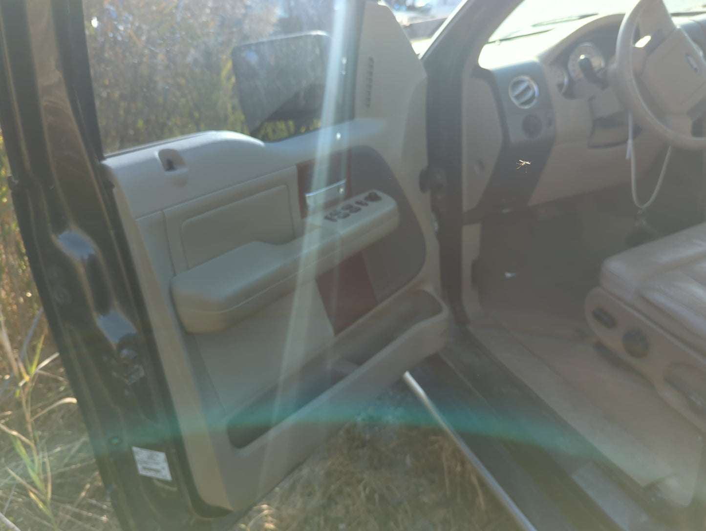 2004-2008 Ford F-150 Driver Front Door Oem 1164615 - Oemusedautoparts1.com