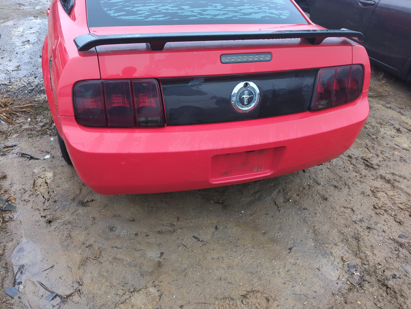 2005-2009 Ford Mustang Rear Bumper Assembly Oem - Oemusedautoparts1.com