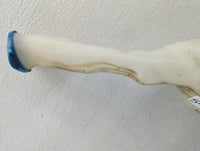 2001-2005 Honda Civic Windshield Washer Fluid Reservoir Bottle Oem - Oemusedautoparts1.com