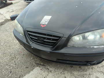 2004-2006 Hyundai Elantra Front Grille Bumper Not Included - Oemusedautoparts1.com