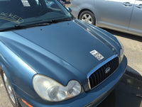 2002-2005 Hyundai Sonata Hood Oem 5013248 - Oemusedautoparts1.com