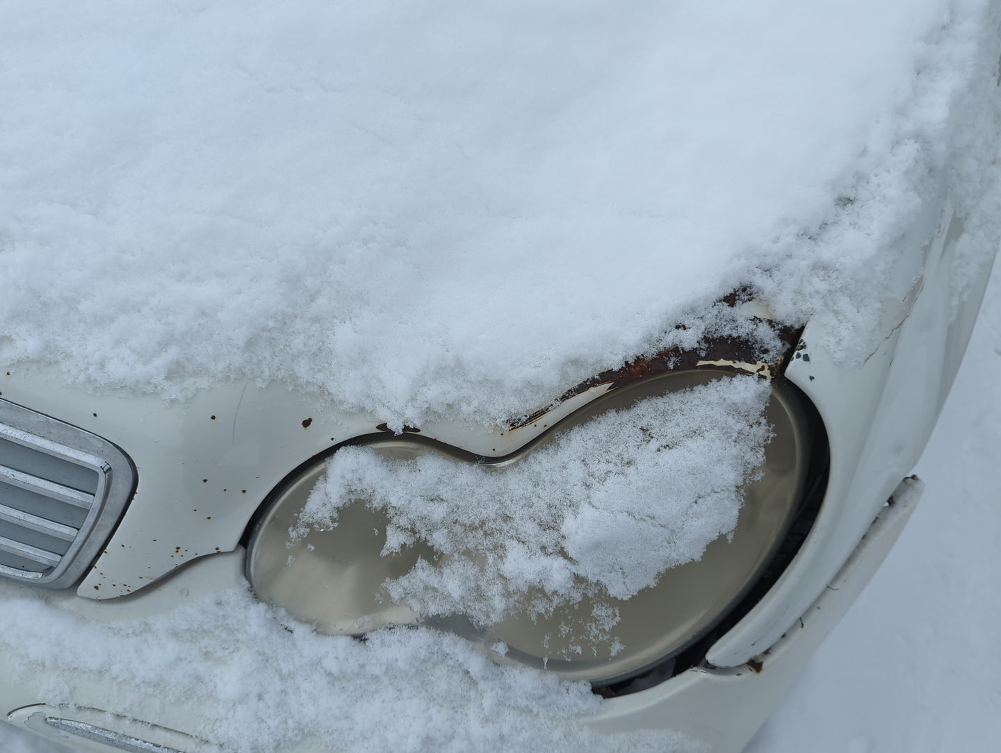 2001-2005 Mercedes-benz C240 Hood Oem - Oemusedautoparts1.com