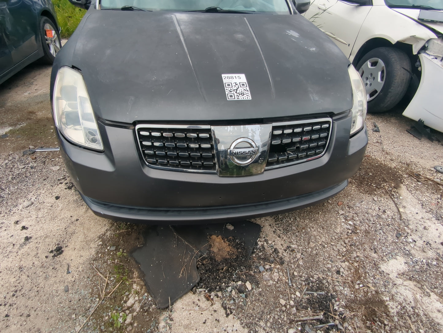 2004-2006 Nissan Maxima Front Grille Bumper Not Included - Oemusedautoparts1.com