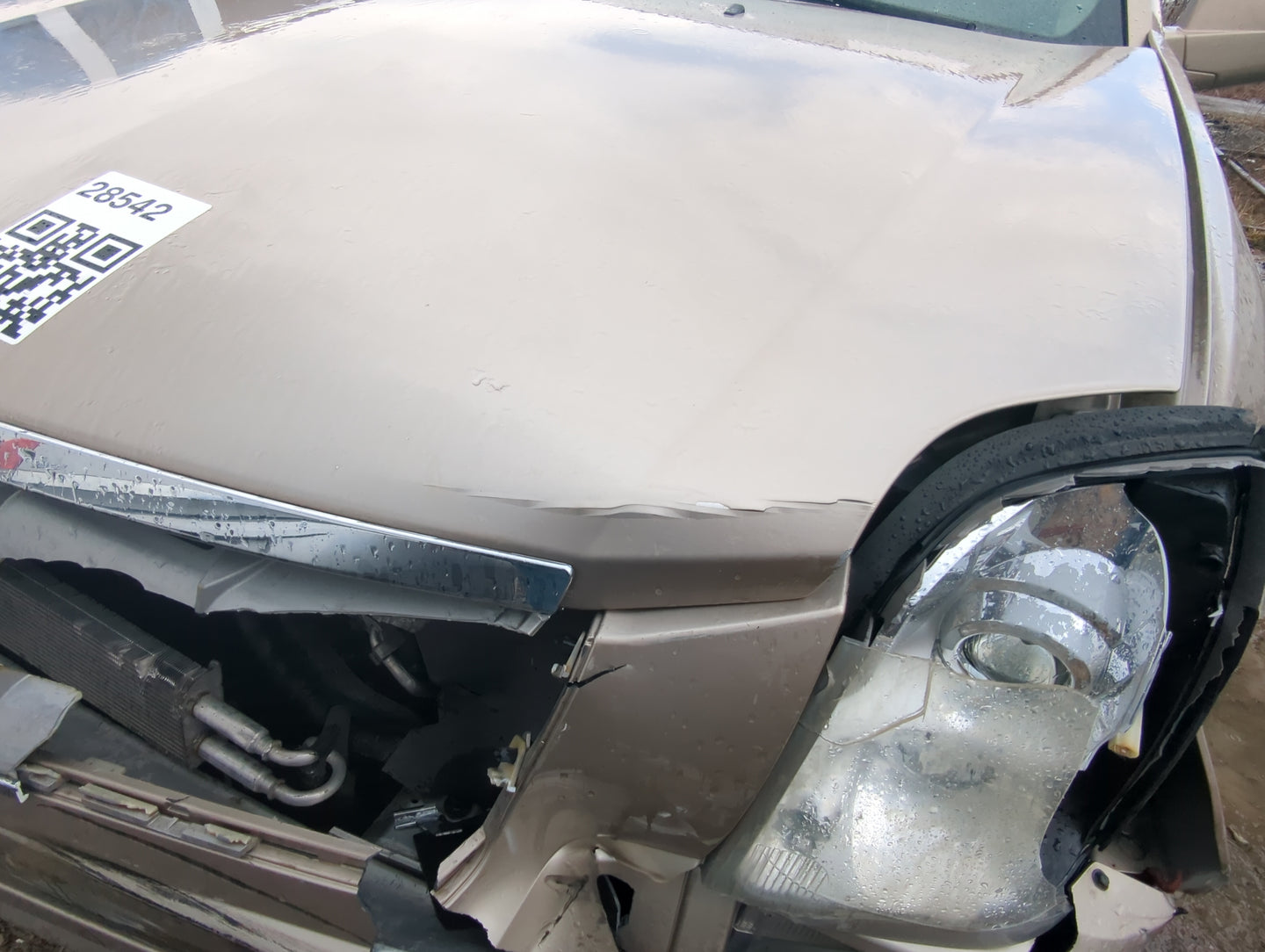 2006 Cadillac Srx Hood Oem - Oemusedautoparts1.com