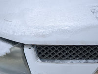 2002-2009 Chevrolet Trailblazer Hood Oem 1250047 - Oemusedautoparts1.com