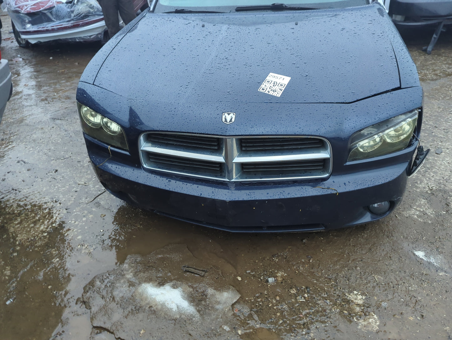 2006-2010 Dodge Charger Front Grille Bumper Not Included 1279831 - Oemusedautoparts1.com