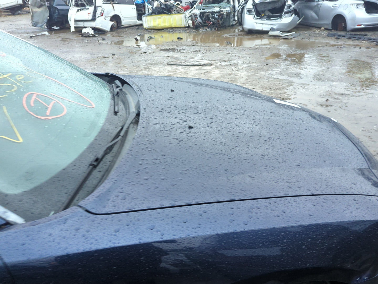 2006-2010 Dodge Charger Hood Oem 1279873 - Oemusedautoparts1.com