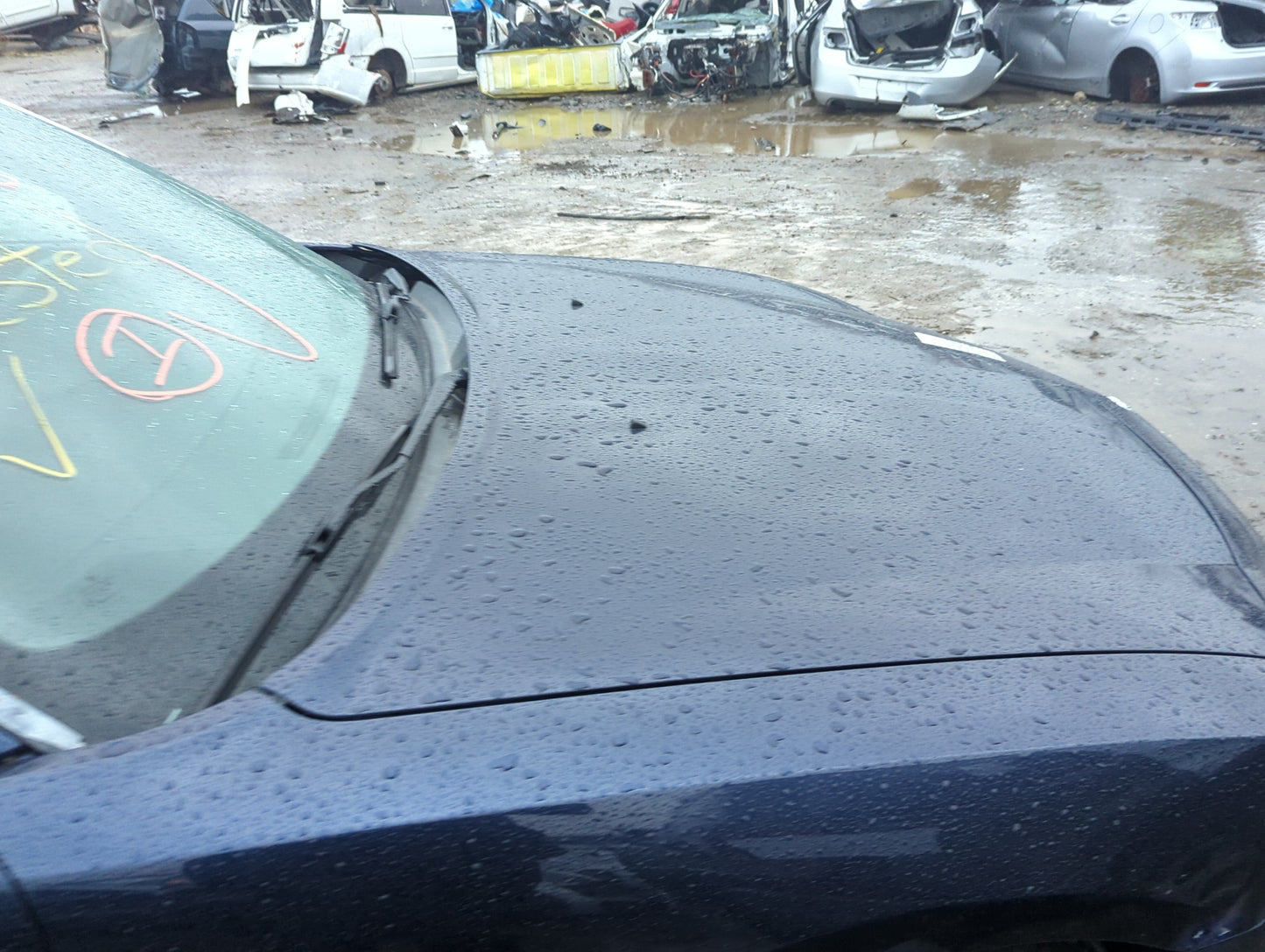 2006-2010 Dodge Charger Hood Oem 1279873 - Oemusedautoparts1.com
