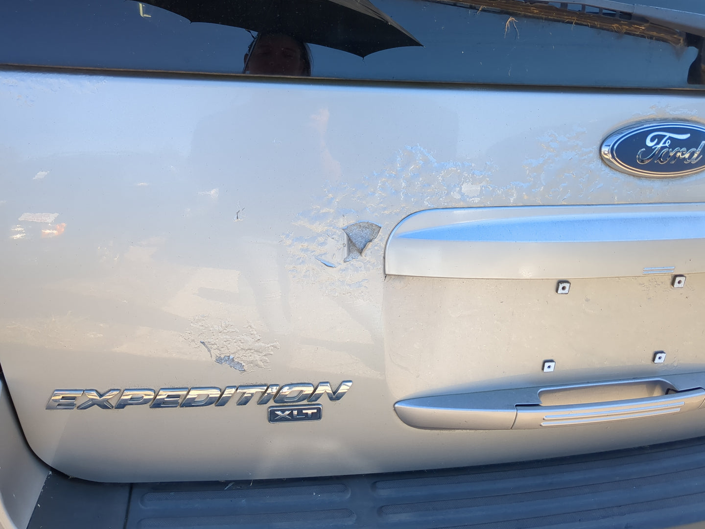 2006 Ford Expedition Trunk/decklid/hatch/tailgate Oem - Oemusedautoparts1.com