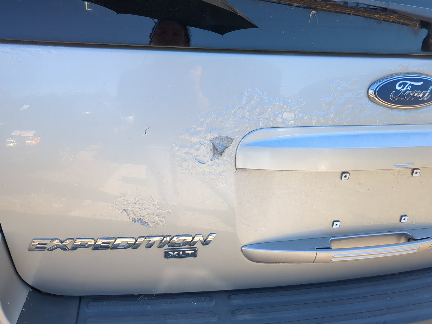 2006 Ford Expedition Trunk/decklid/hatch/tailgate Oem - Oemusedautoparts1.com