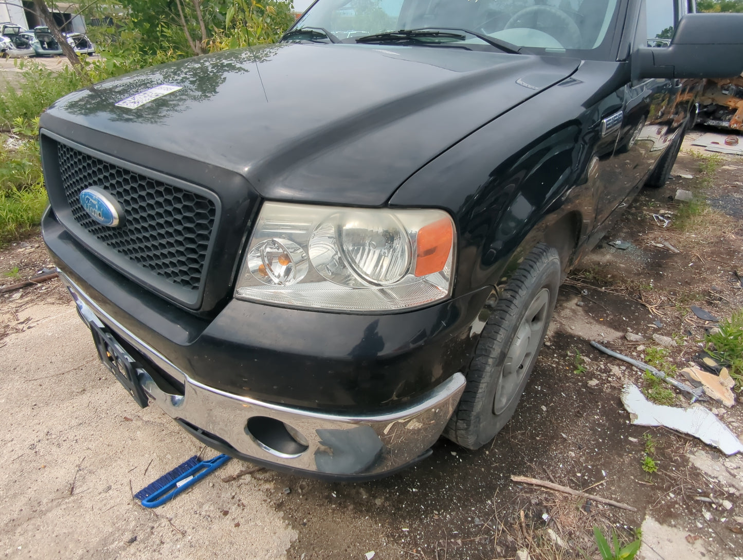 2005-2006 Ford F-150 Driver Side View Mirror - Left Door Mirror OEM Used - Oemusedautoparts1.com