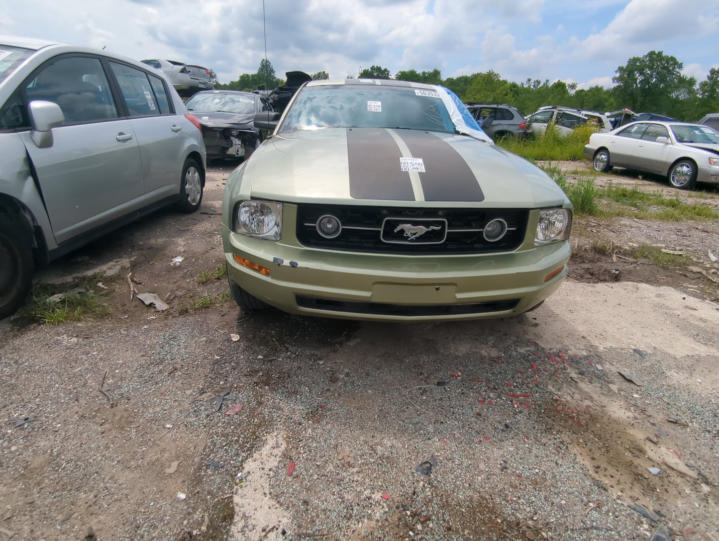 2006-2009 Ford Mustang Front Bumper Grille - Oemusedautoparts1.com