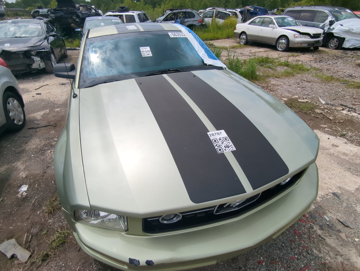 2005-2009 Ford Mustang Hood Oem - Oemusedautoparts1.com