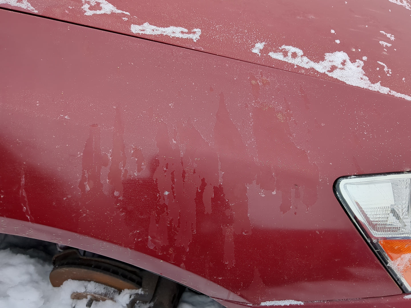 2003-2007 Honda Accord Passenger Fender 1259337 - Oemusedautoparts1.com