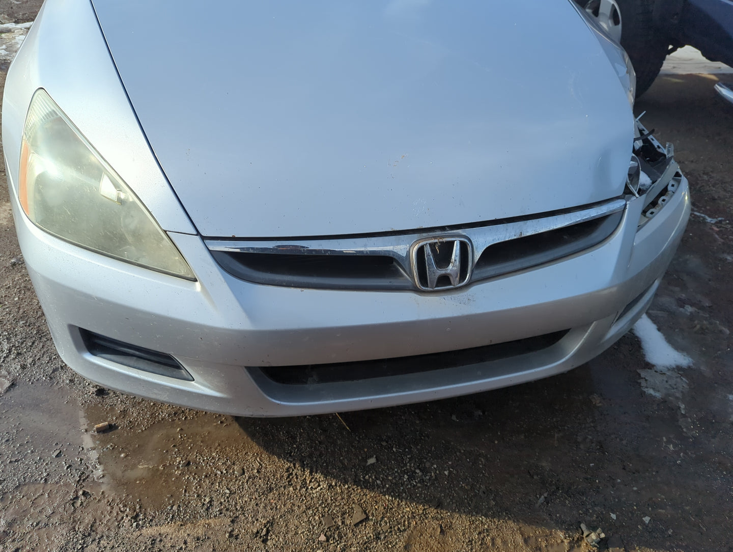 2006-2007 Honda Accord Front Grille Bumper Not Included - Oemusedautoparts1.com