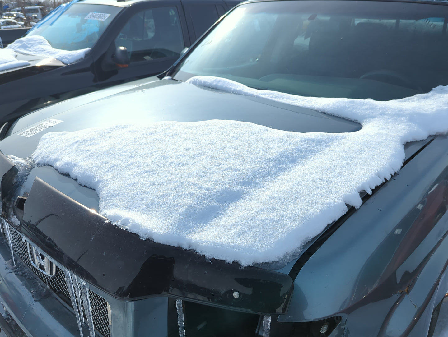2006-2014 Honda Ridgeline Hood Oem 1363554 - Oemusedautoparts1.com