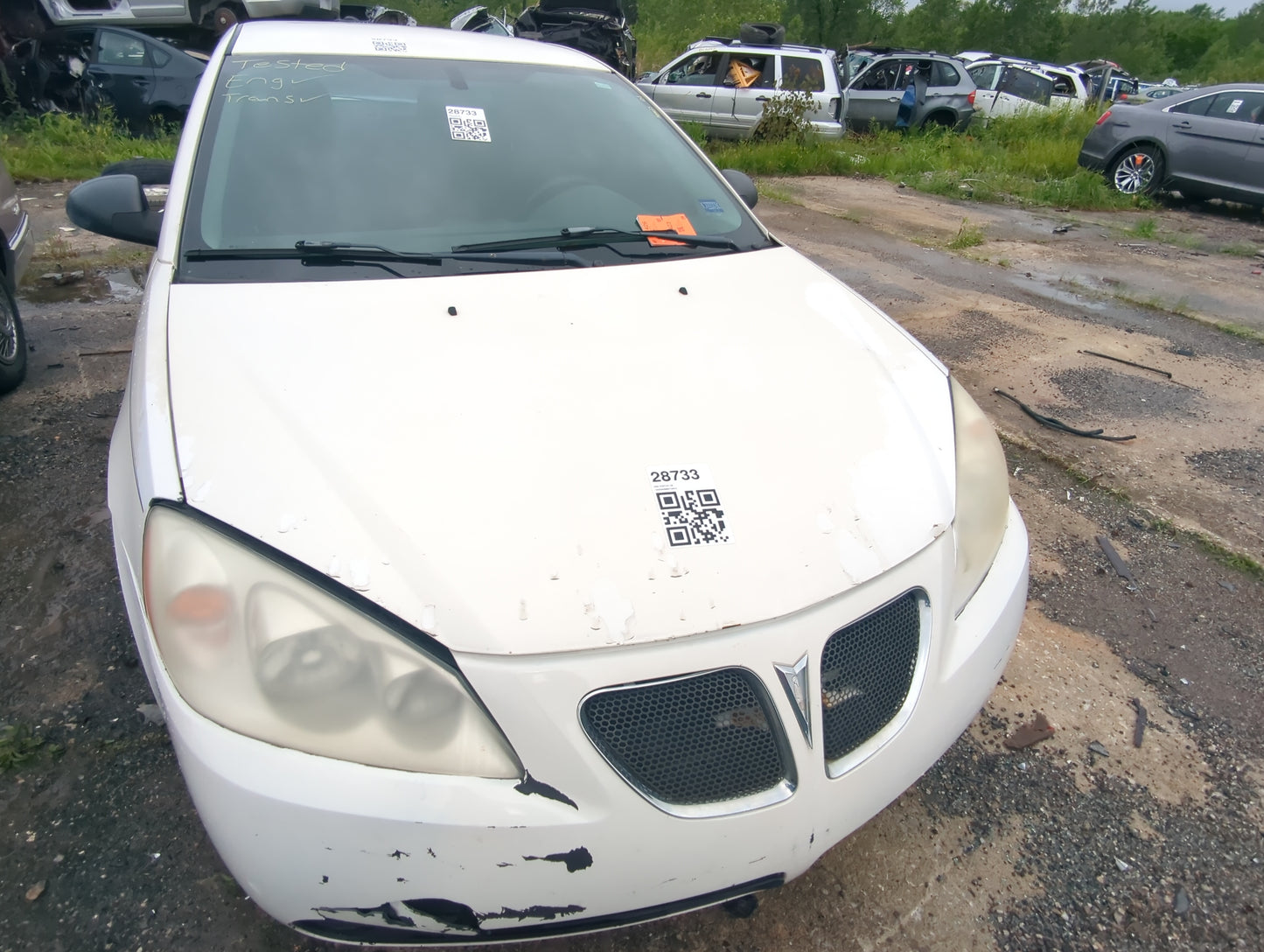 2005-2010 Pontiac G6 Hood Oem - Oemusedautoparts1.com