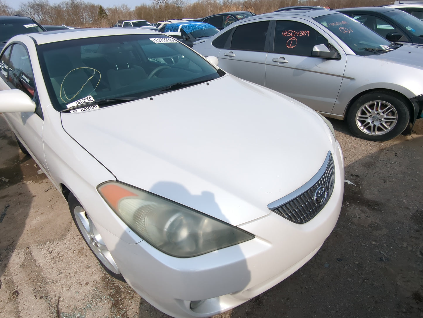 2006 TOYOTA SOLARA  HOOD  OEM - Oemusedautoparts1.com