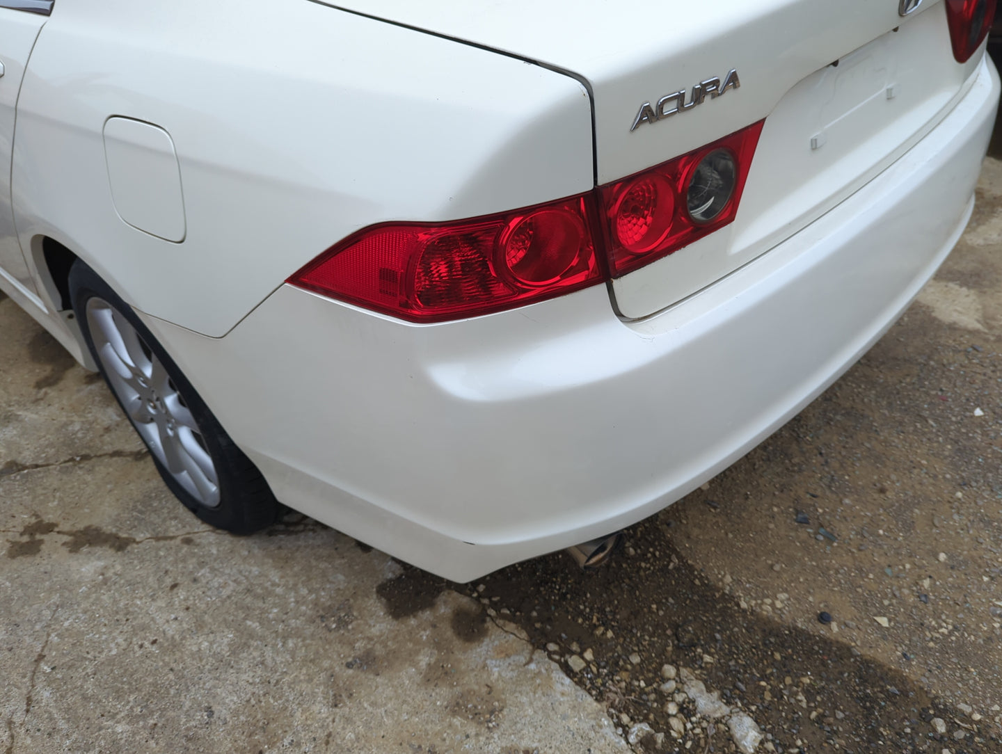 2006-2008 Acura Tsx Rear Bumper Assembly Oem - Oemusedautoparts1.com