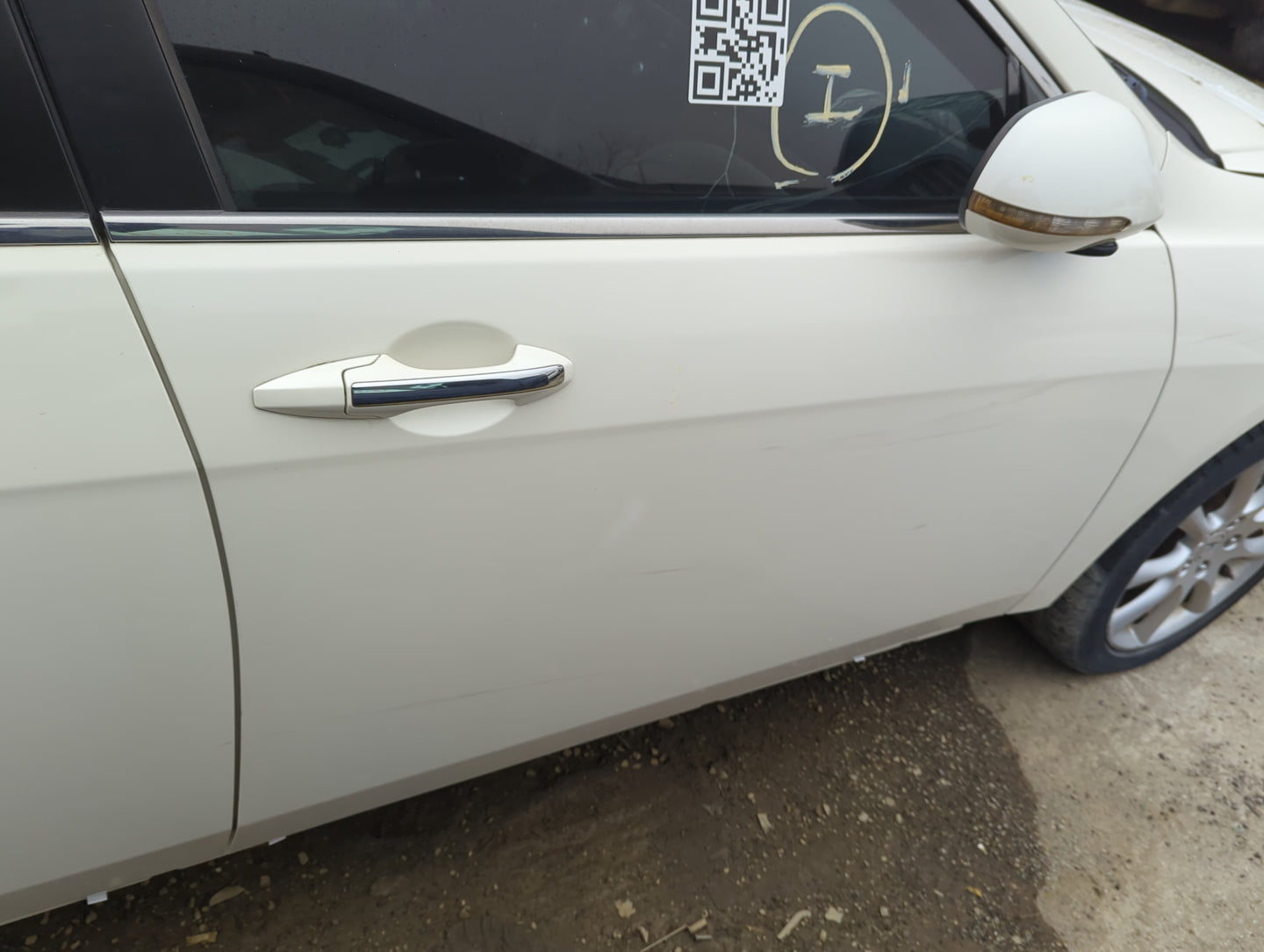 2004-2008 Acura Tsx Passenger Front Door Oem - Oemusedautoparts1.com