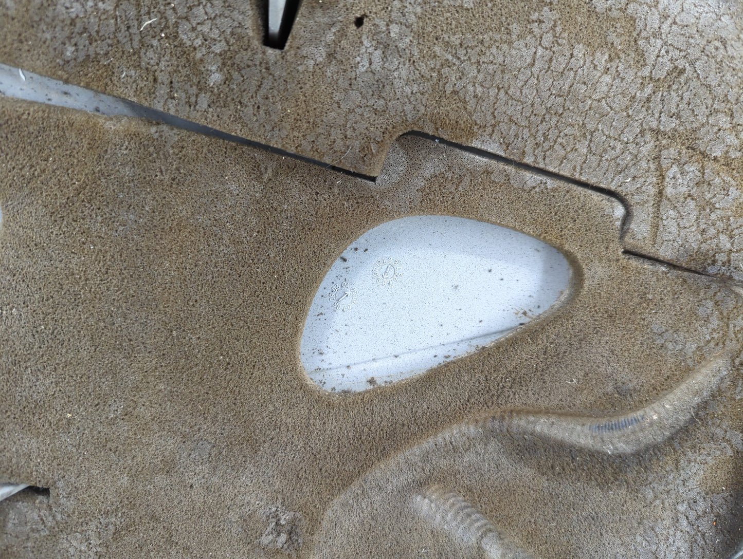 2007 Cadillac Cts Engine Cover Silver - Oemusedautoparts1.com