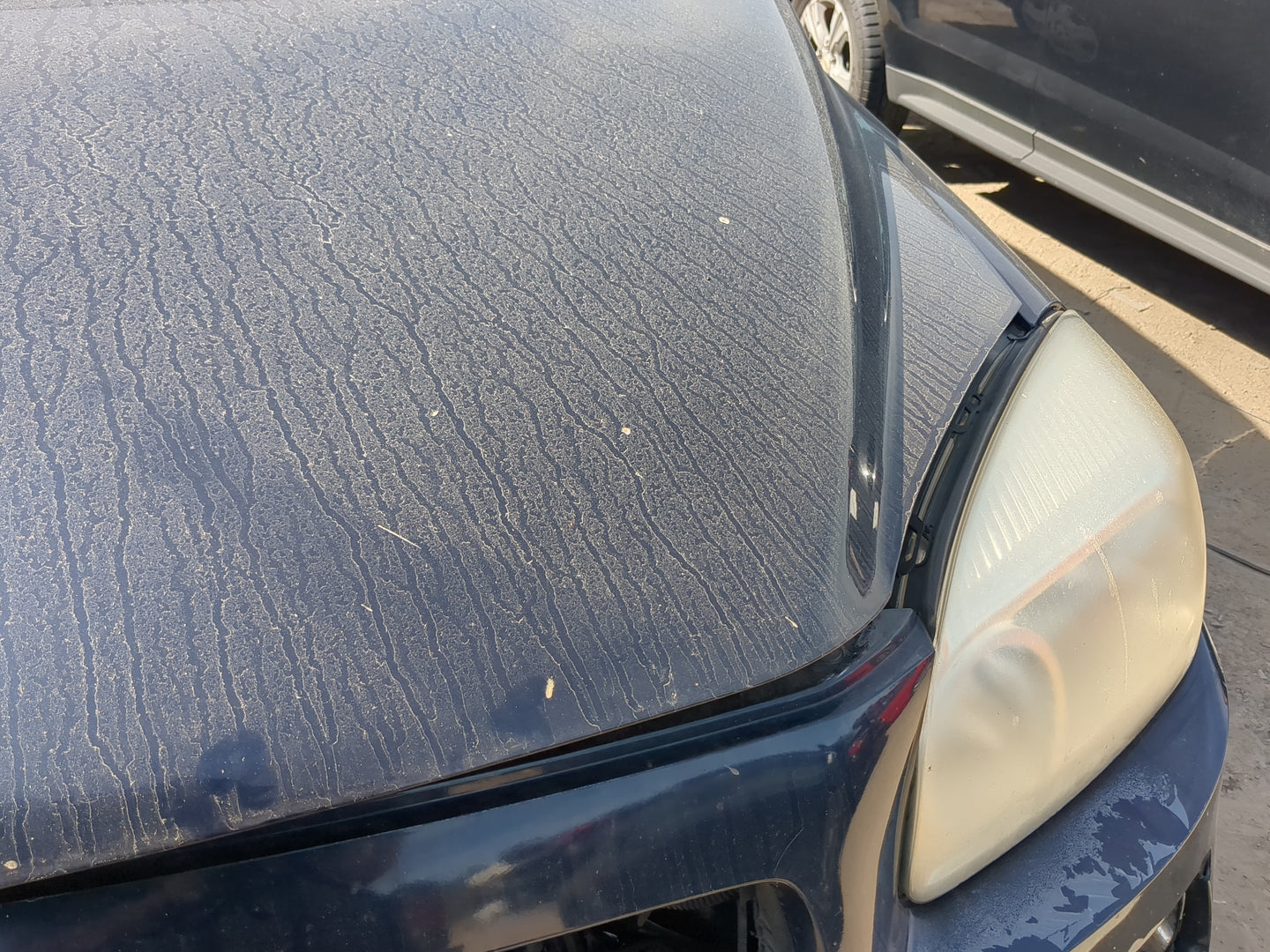 2005-2009 Chevrolet Uplander Hood Oem - Oemusedautoparts1.com