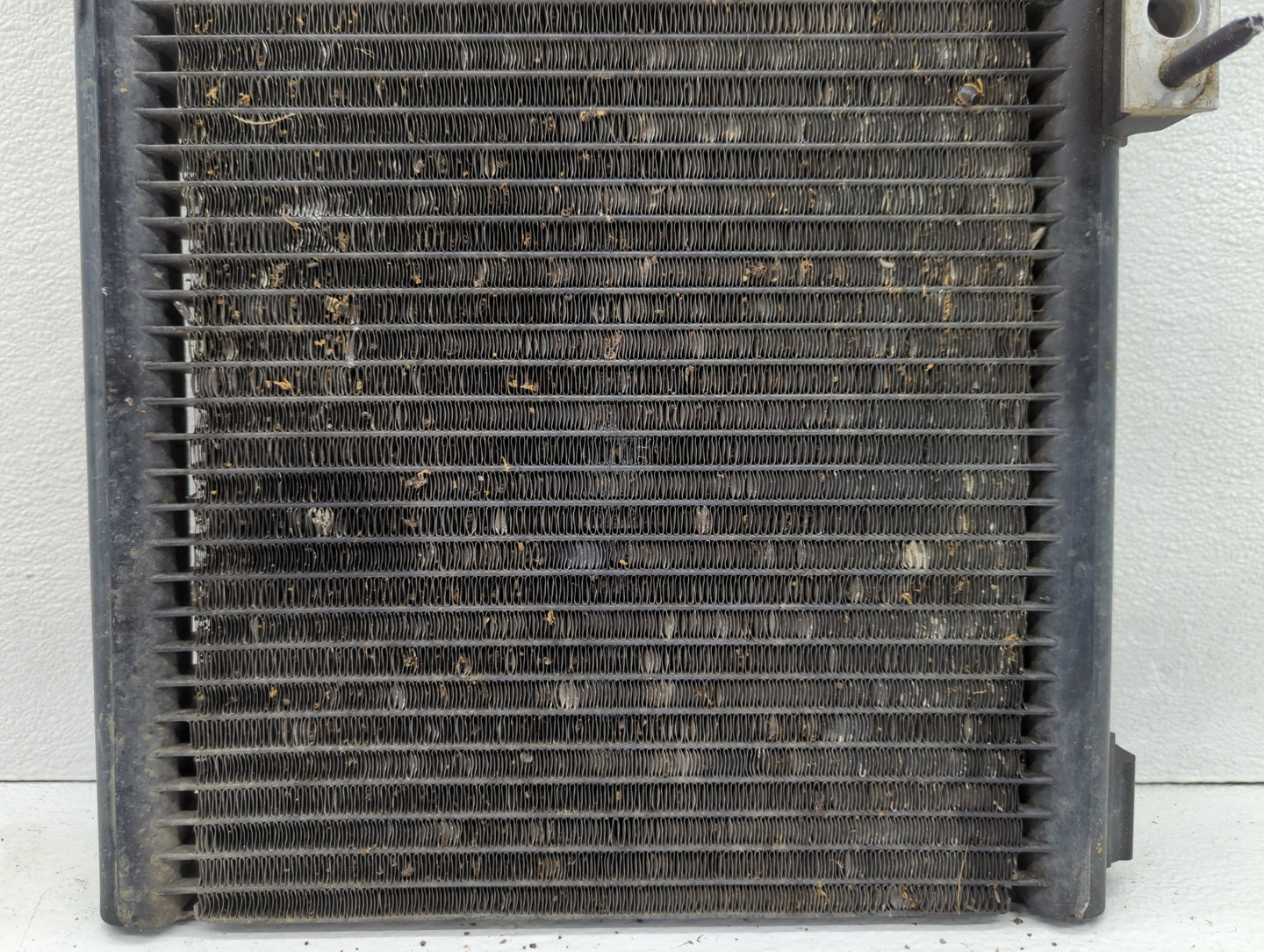 2006-2008 Dodge Ram 1500 Undefined Black - Oemusedautoparts1.com