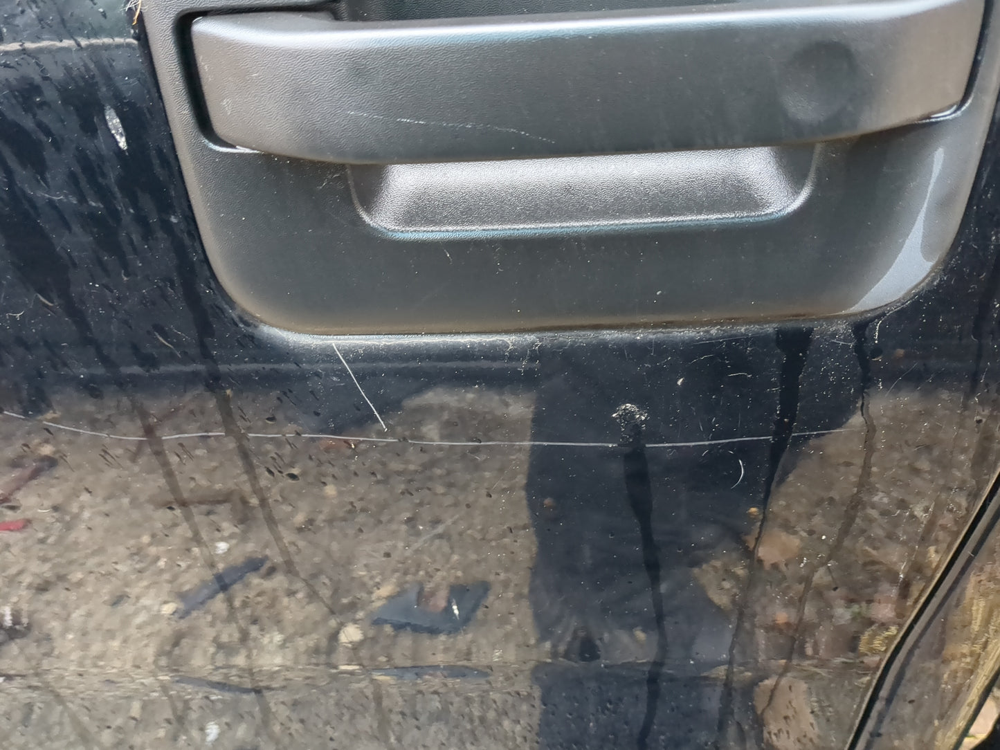 2005-2008 Ford F-150 Driver Rear Door Oem 1233773 - Oemusedautoparts1.com